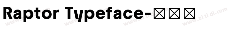 Raptor Typeface字体转换